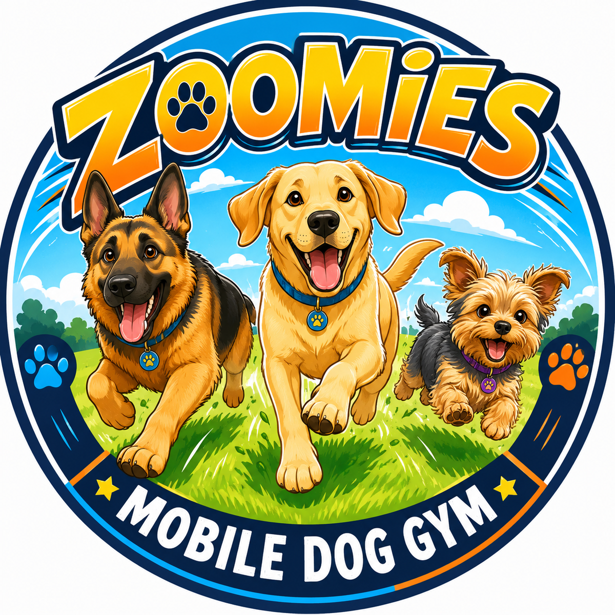 Zoomies Mobile Dog Gym